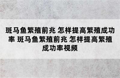 斑马鱼繁殖前兆 怎样提高繁殖成功率 斑马鱼繁殖前兆 怎样提高繁殖成功率视频